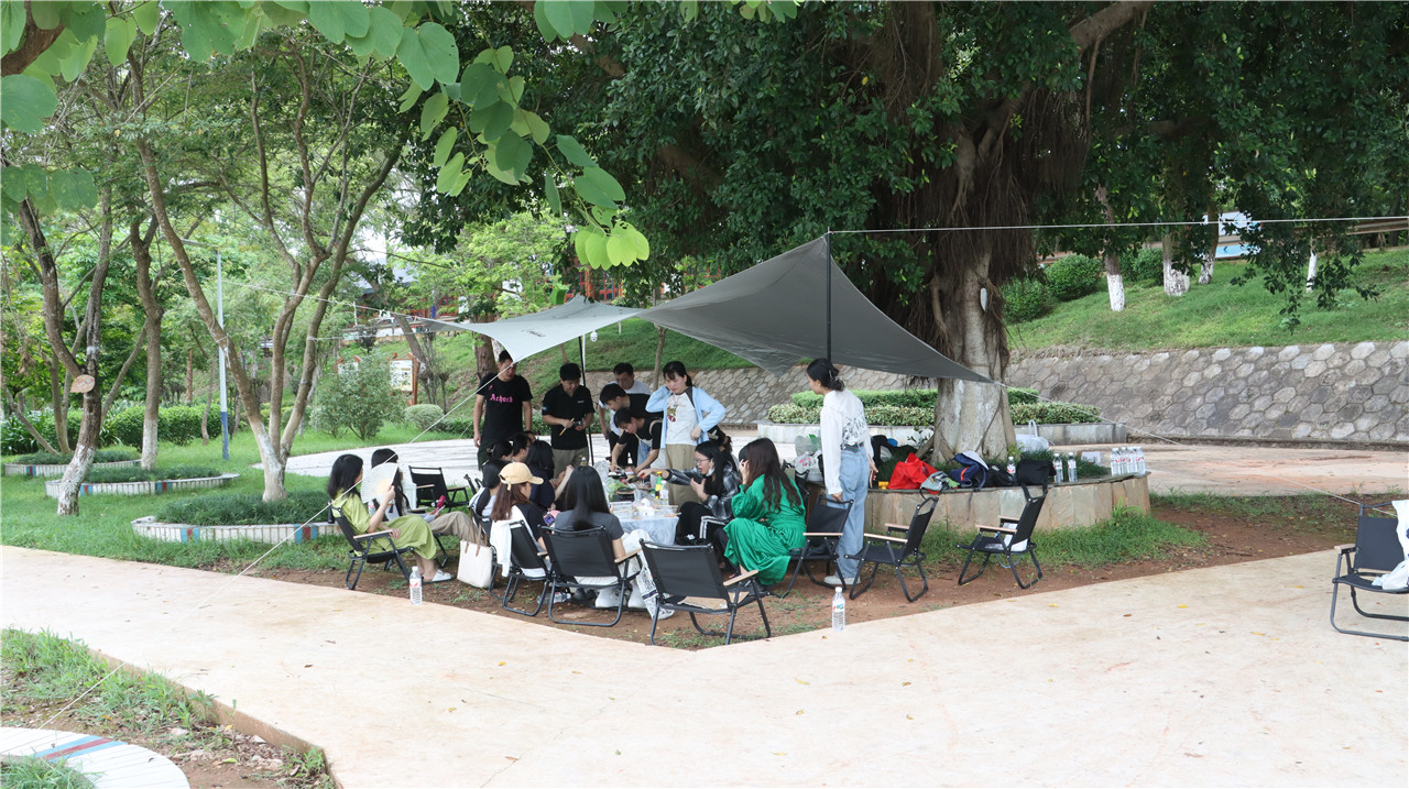 company organized (1)