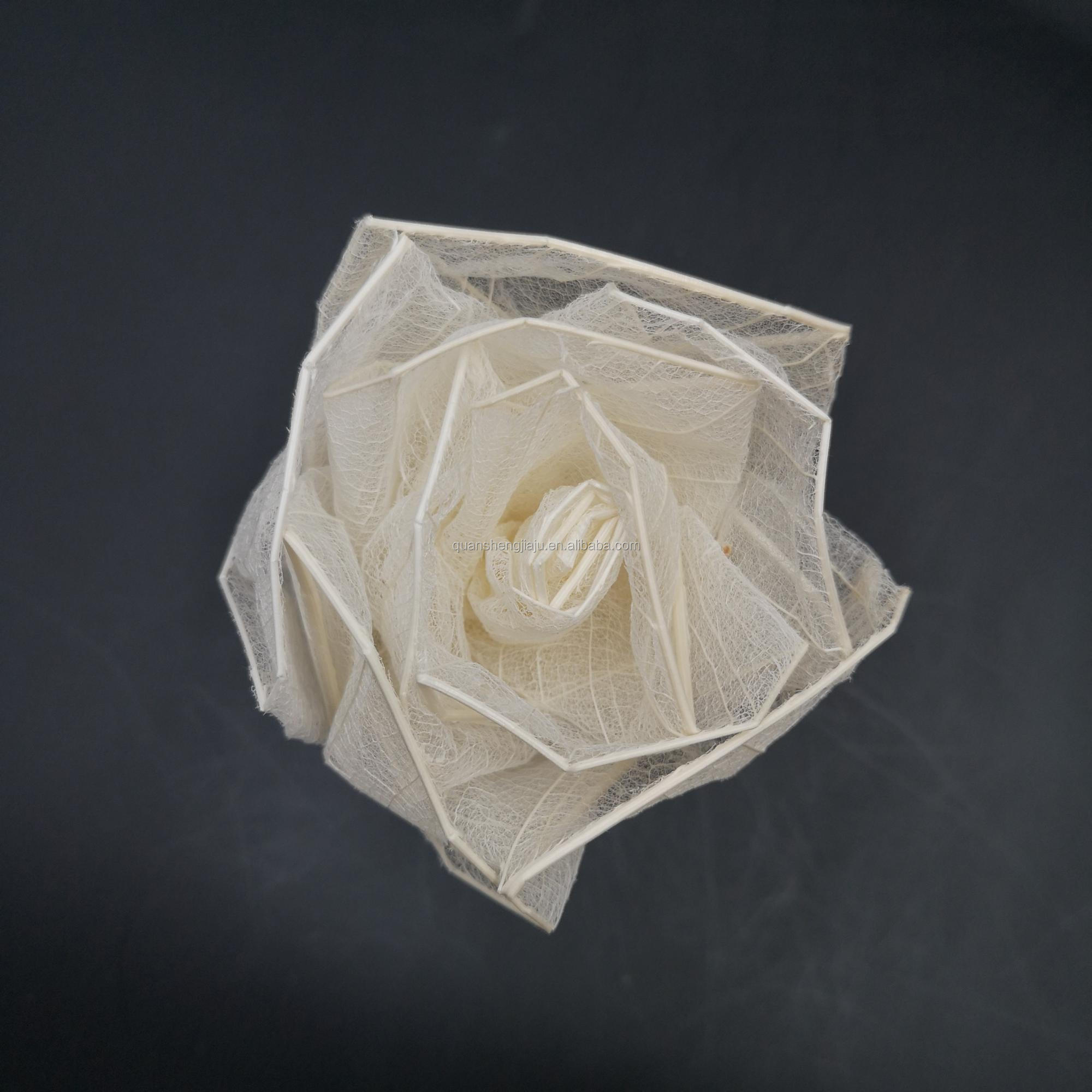 Multi-Color Natural Dried Flowers and Skeleton Leaves Vein Decoration Flower (3)