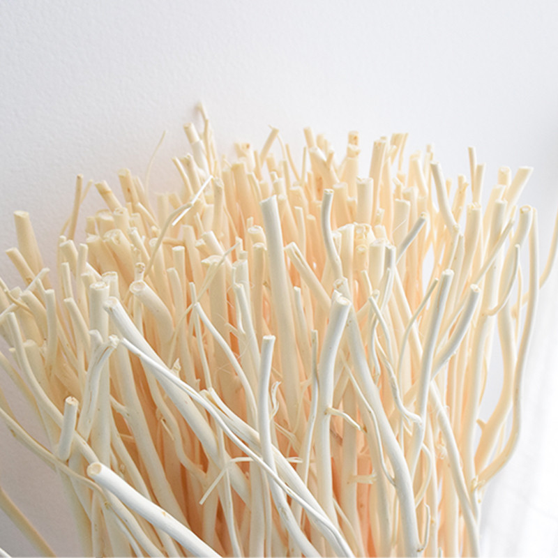 Natural Willow Sticks Fragrance Diffuser Customized Reed Diffuser sticks (5)
