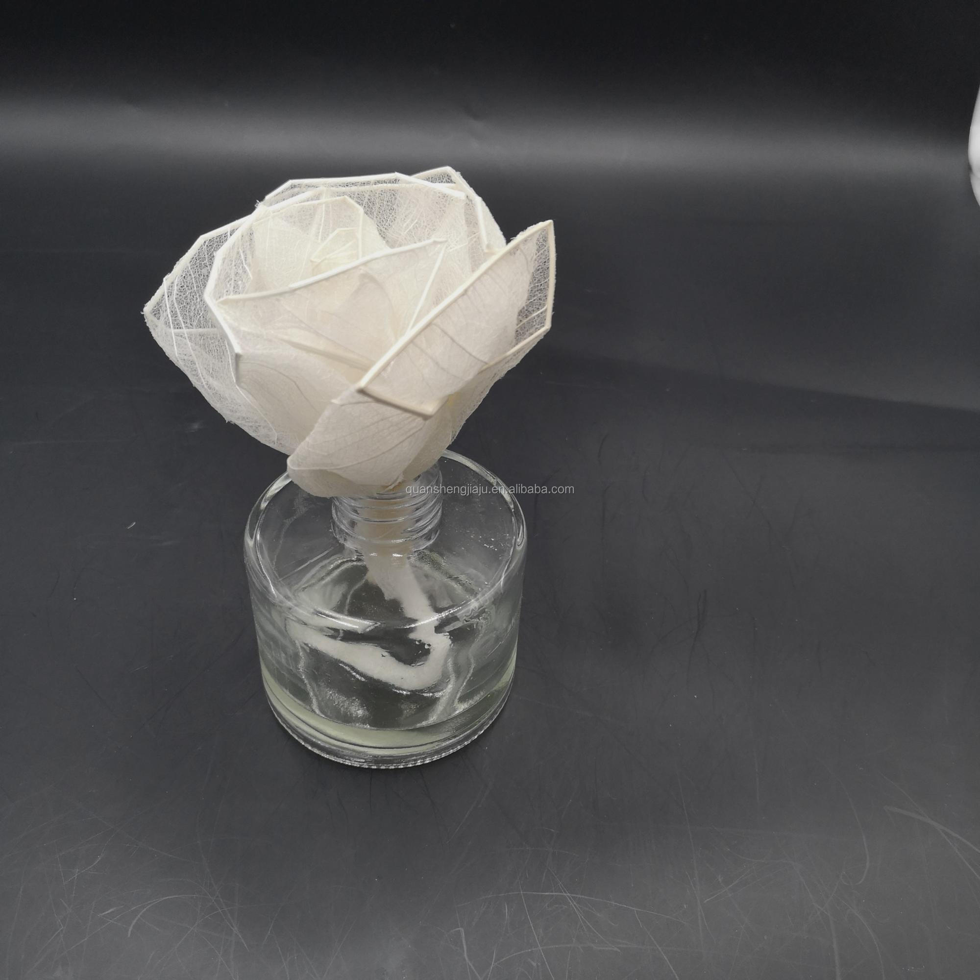 Multi-Color Natural Dried Flowers and Skeleton Leaves Vein Decoration Flower (5)